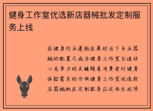 健身工作室优选新店器械批发定制服务上线