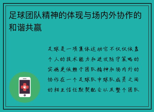足球团队精神的体现与场内外协作的和谐共赢